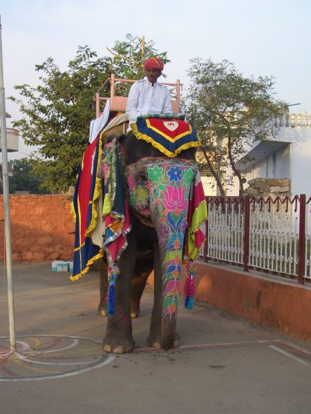 colored_elephant