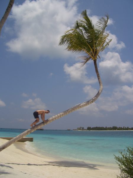 maldives_climbing_tree_man_1