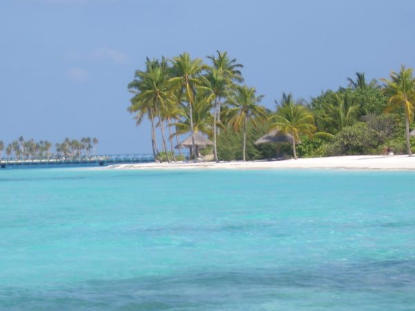 maldives_beach_4