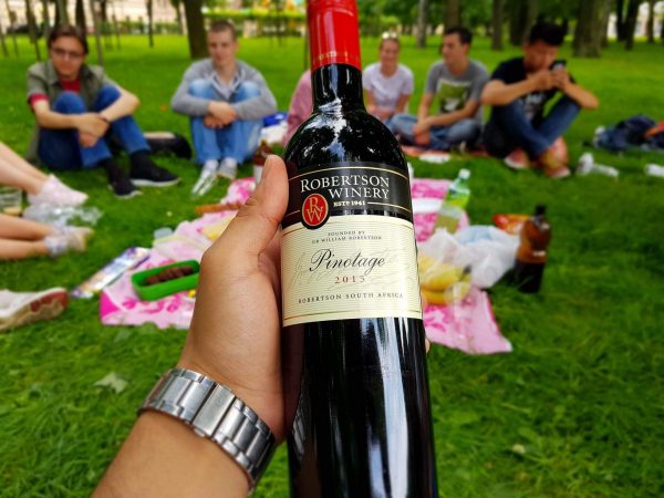 happiness-pic-nic-wine