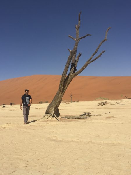 man-sossusvlei-desert-sand-tree